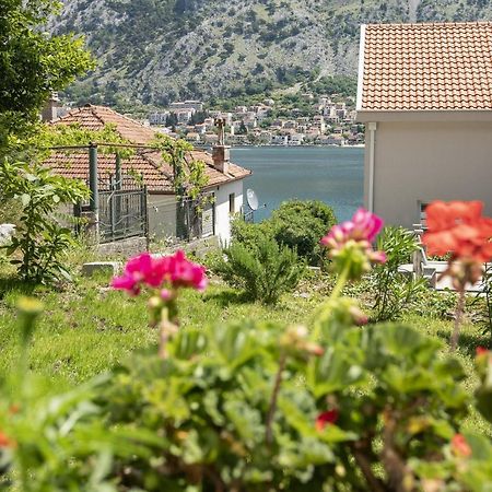 Muo Sea Front Apartments Kotor Eksteriør bilde