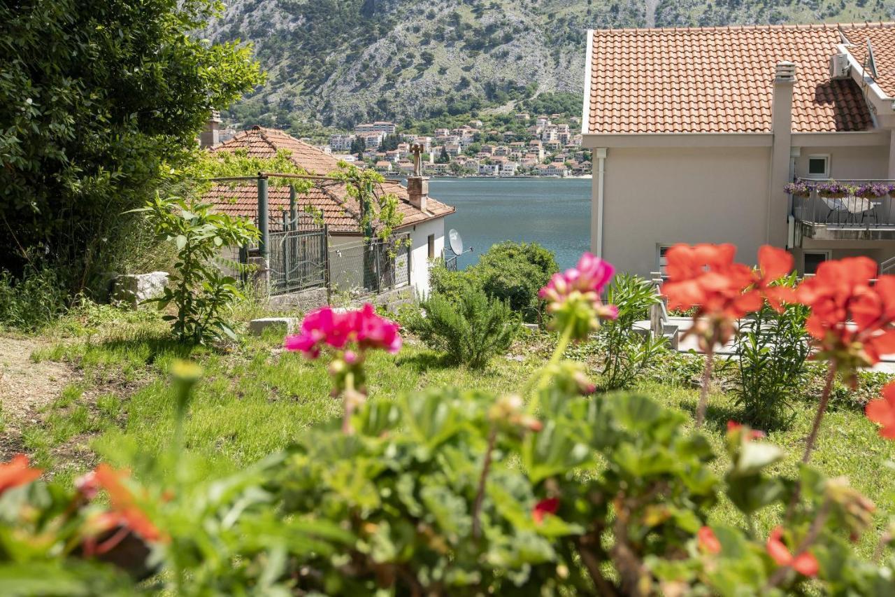 Muo Sea Front Apartments Kotor Eksteriør bilde