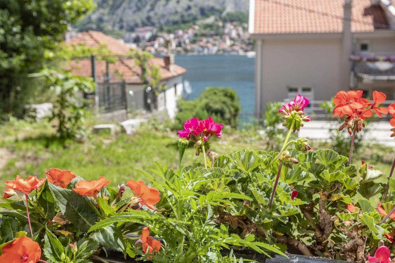 Muo Sea Front Apartments Kotor Eksteriør bilde