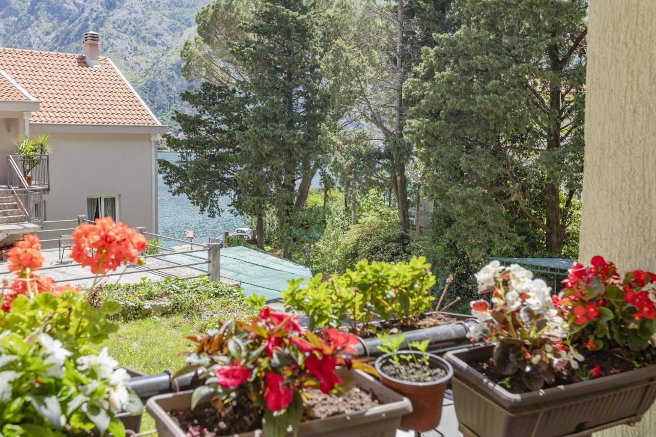 Muo Sea Front Apartments Kotor Eksteriør bilde